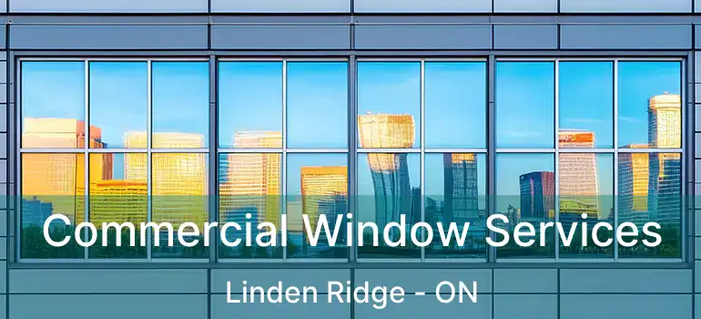  Commercial Window Services Linden Ridge - ON