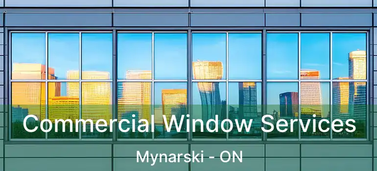 Commercial Window Services Mynarski - ON