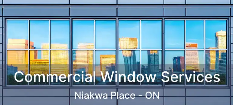  Commercial Window Services Niakwa Place - ON