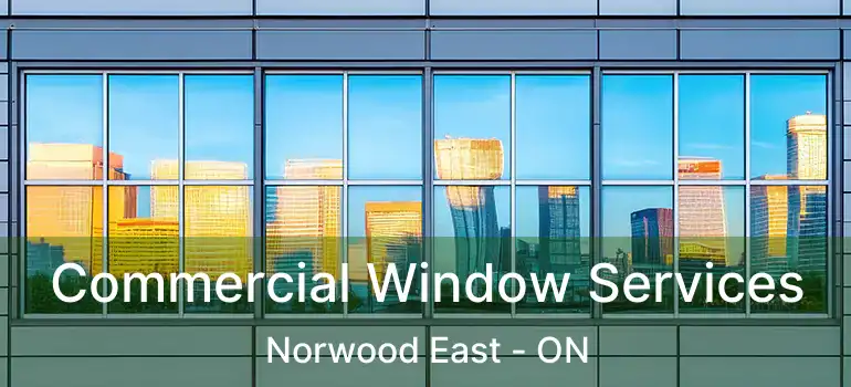  Commercial Window Services Norwood East - ON
