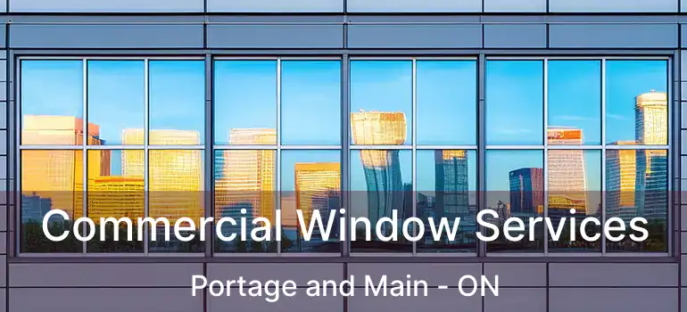  Commercial Window Services Portage and Main - ON