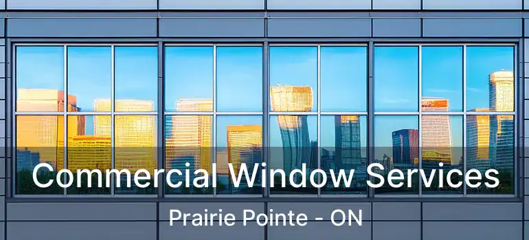 Commercial Window Services Prairie Pointe - ON