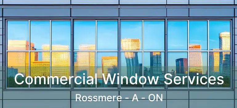  Commercial Window Services Rossmere - A - ON