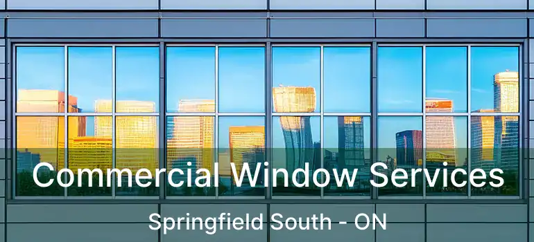  Commercial Window Services Springfield South - ON
