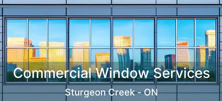  Commercial Window Services Sturgeon Creek - ON
