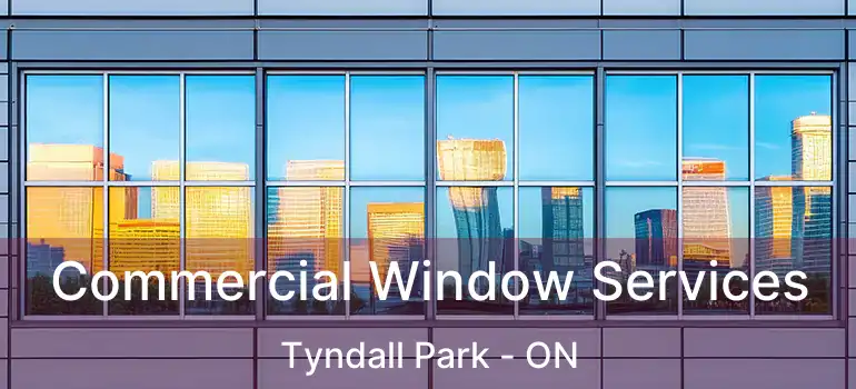 Commercial Window Services Tyndall Park - ON