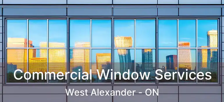 Commercial Window Services West Alexander - ON