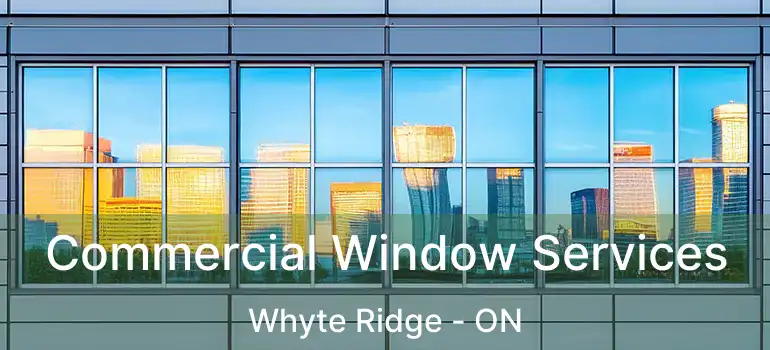  Commercial Window Services Whyte Ridge - ON
