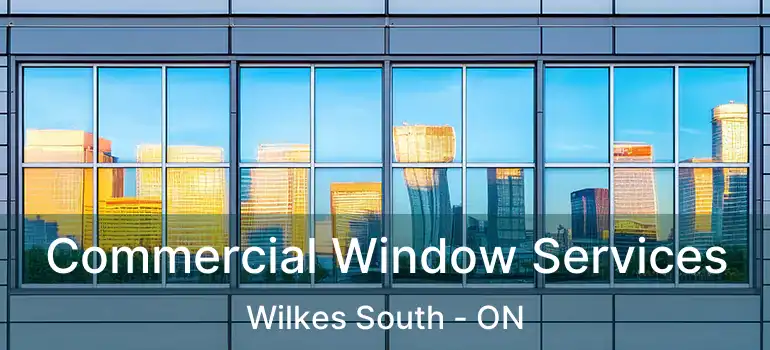  Commercial Window Services Wilkes South - ON