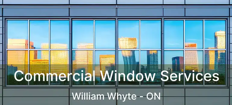  Commercial Window Services William Whyte - ON