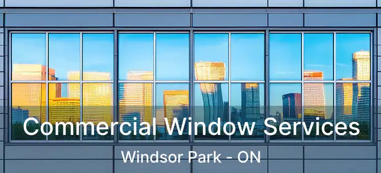  Commercial Window Services Windsor Park - ON
