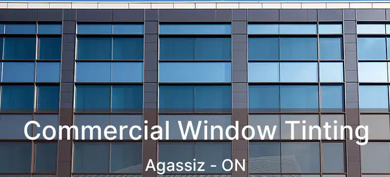  Commercial Window Tinting Agassiz - ON