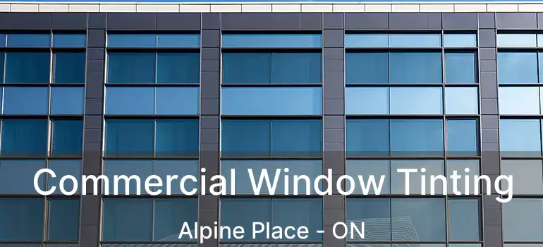  Commercial Window Tinting Alpine Place - ON