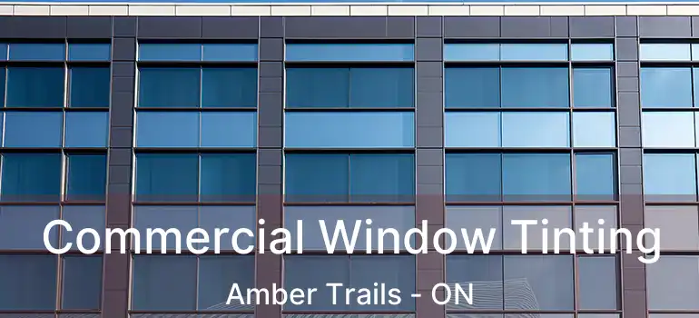  Commercial Window Tinting Amber Trails - ON