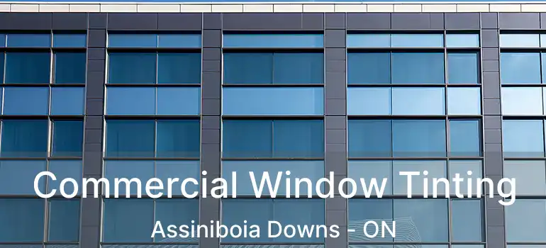  Commercial Window Tinting Assiniboia Downs - ON