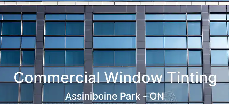  Commercial Window Tinting Assiniboine Park - ON