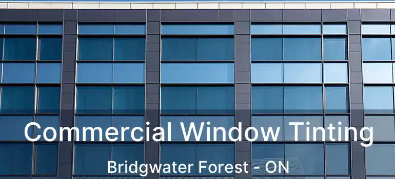  Commercial Window Tinting Bridgwater Forest - ON