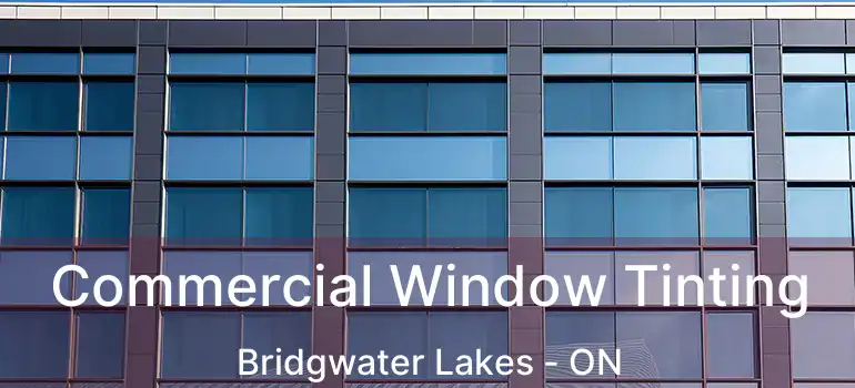  Commercial Window Tinting Bridgwater Lakes - ON