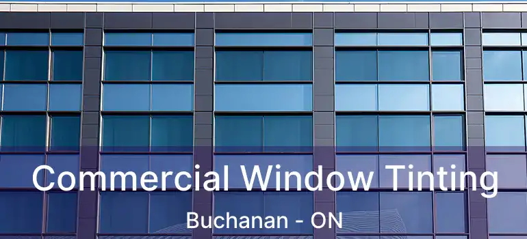  Commercial Window Tinting Buchanan - ON