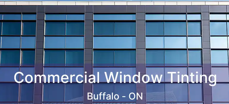  Commercial Window Tinting Buffalo - ON