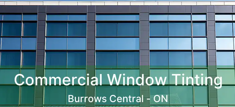  Commercial Window Tinting Burrows Central - ON