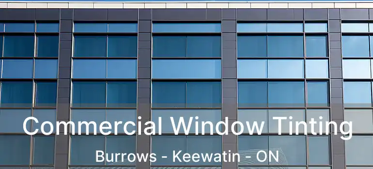  Commercial Window Tinting Burrows - Keewatin - ON