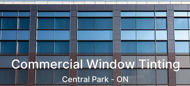  Commercial Window Tinting Central Park - ON