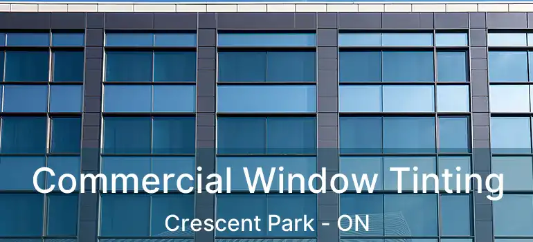  Commercial Window Tinting Crescent Park - ON