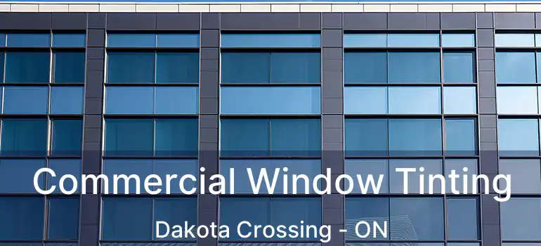  Commercial Window Tinting Dakota Crossing - ON
