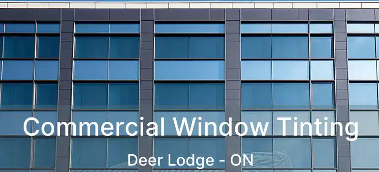  Commercial Window Tinting Deer Lodge - ON