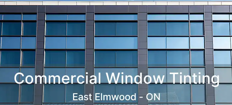  Commercial Window Tinting East Elmwood - ON