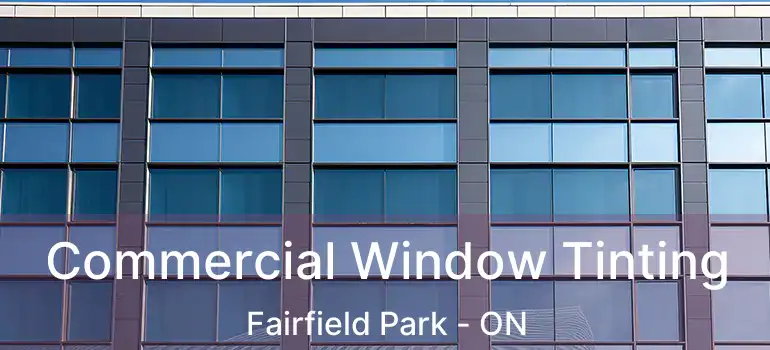  Commercial Window Tinting Fairfield Park - ON