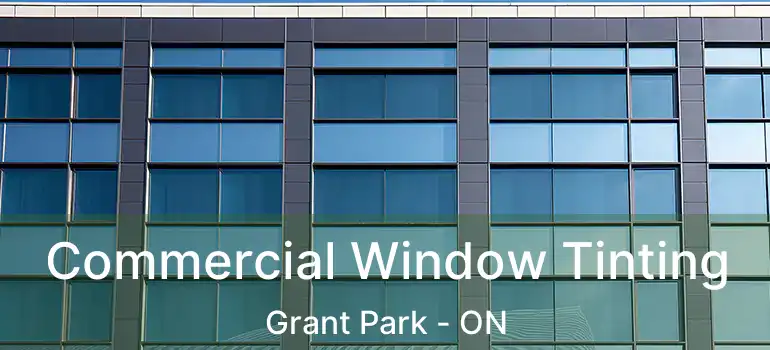  Commercial Window Tinting Grant Park - ON