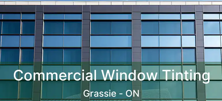  Commercial Window Tinting Grassie - ON