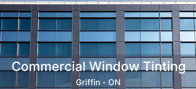  Commercial Window Tinting Griffin - ON