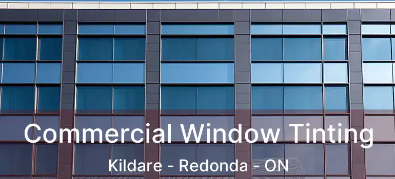  Commercial Window Tinting Kildare - Redonda - ON