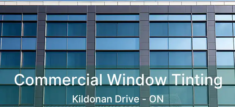  Commercial Window Tinting Kildonan Drive - ON