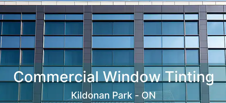  Commercial Window Tinting Kildonan Park - ON