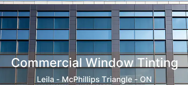  Commercial Window Tinting Leila - McPhillips Triangle - ON