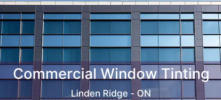  Commercial Window Tinting Linden Ridge - ON
