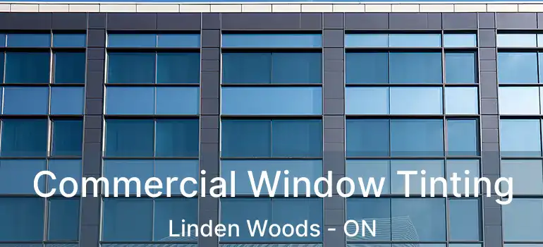  Commercial Window Tinting Linden Woods - ON