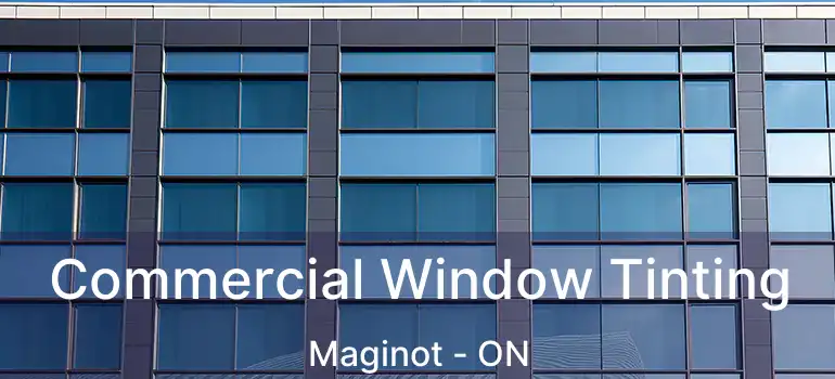  Commercial Window Tinting Maginot - ON