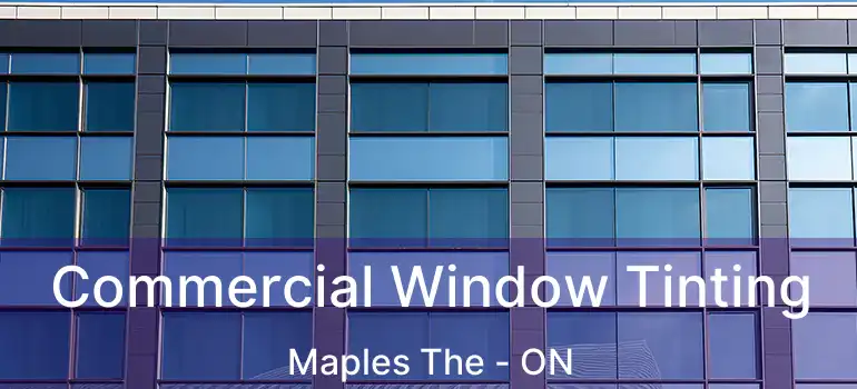 Commercial Window Tinting Maples The - ON