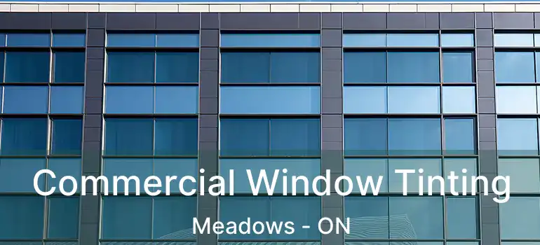  Commercial Window Tinting Meadows - ON