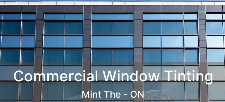  Commercial Window Tinting Mint The - ON
