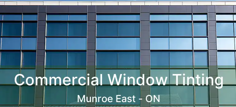  Commercial Window Tinting Munroe East - ON