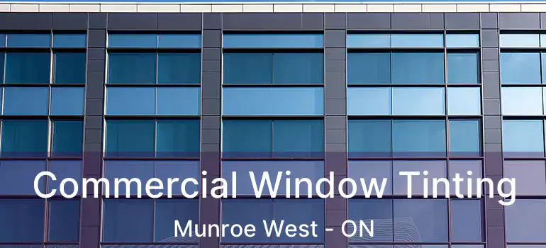  Commercial Window Tinting Munroe West - ON