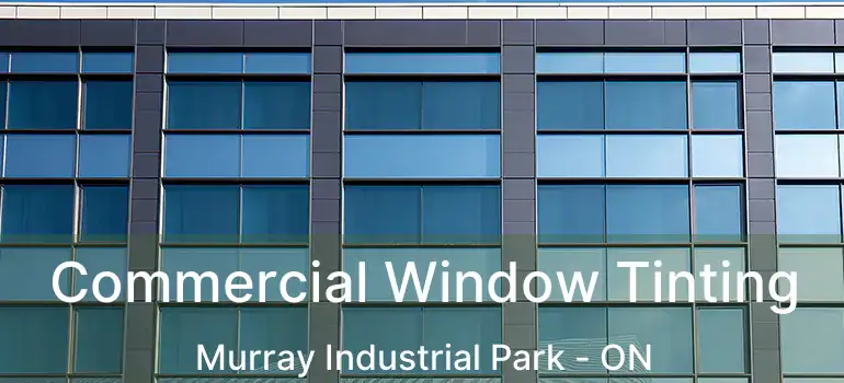  Commercial Window Tinting Murray Industrial Park - ON