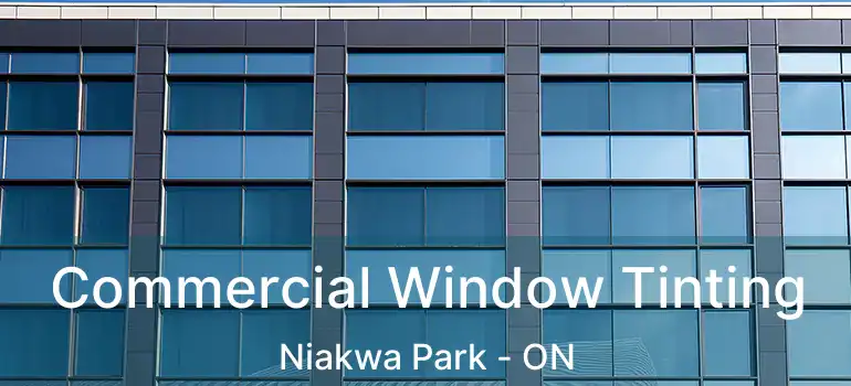  Commercial Window Tinting Niakwa Park - ON