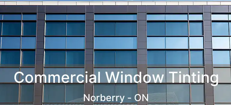  Commercial Window Tinting Norberry - ON